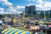 The Ekka