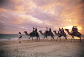 Keppel Island Adventure