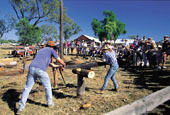Wood Chopping