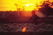 Jondaryan Woolshed