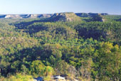 Miles Gorge