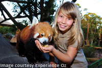 Australia Zoo, Sunshine Coast