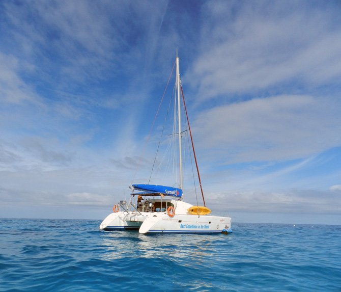 yachting queensland