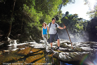 bushwalking on the gold coast