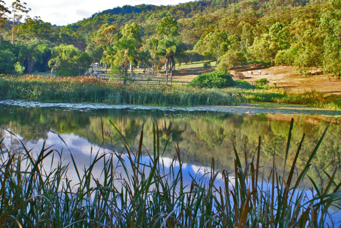 Cedar Creek, Tamborine Mountain