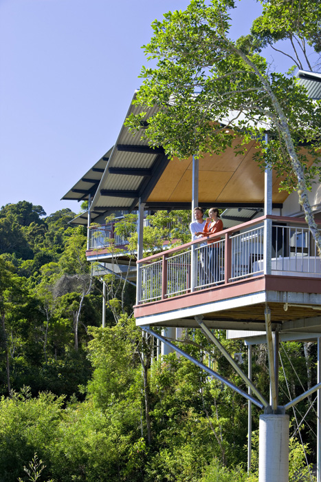 O'Reillys, Lamington National Park
