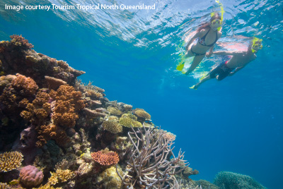 Diving on the Great Barrier Reef