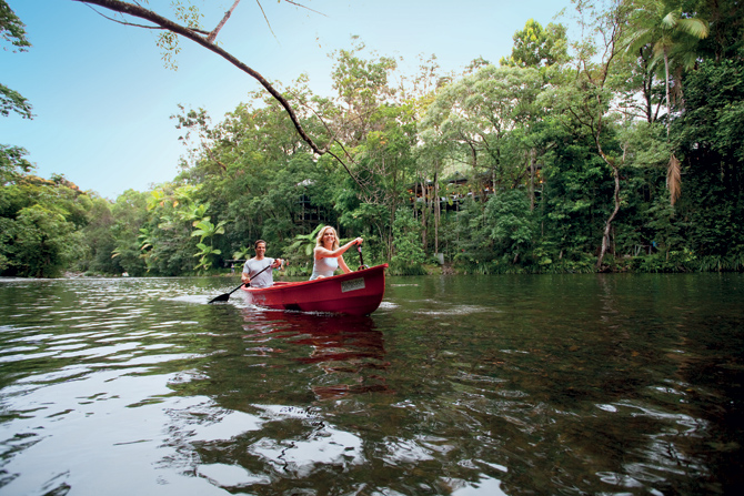 Daintree River