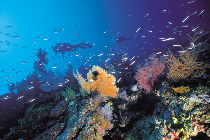 Great Barrier Reef