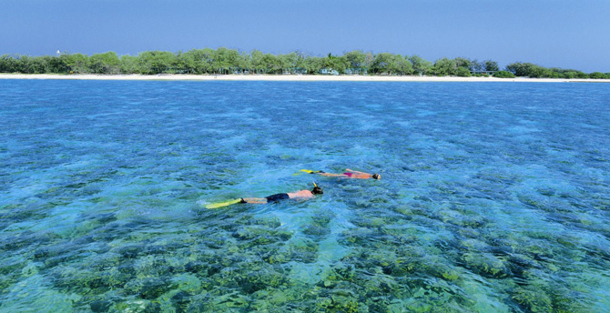 Snorkelling on Lady Elliott Island
