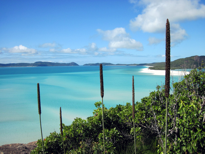 Overlooking Whitehaven Beach