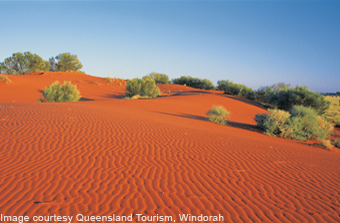 Windorah desert